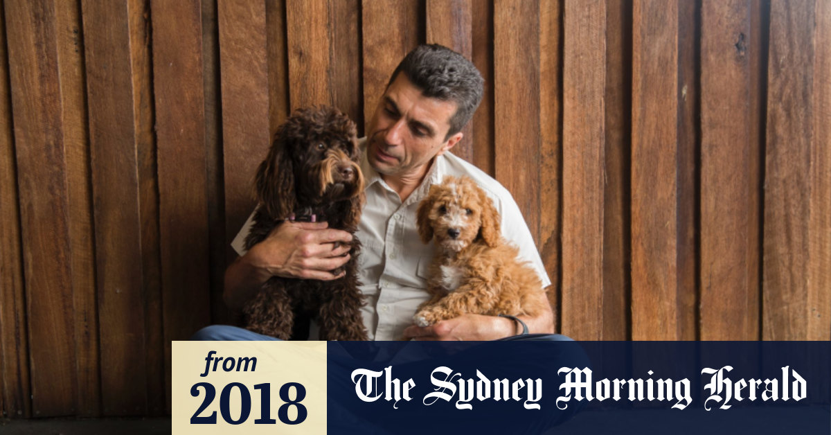Kellyville top pets puppies